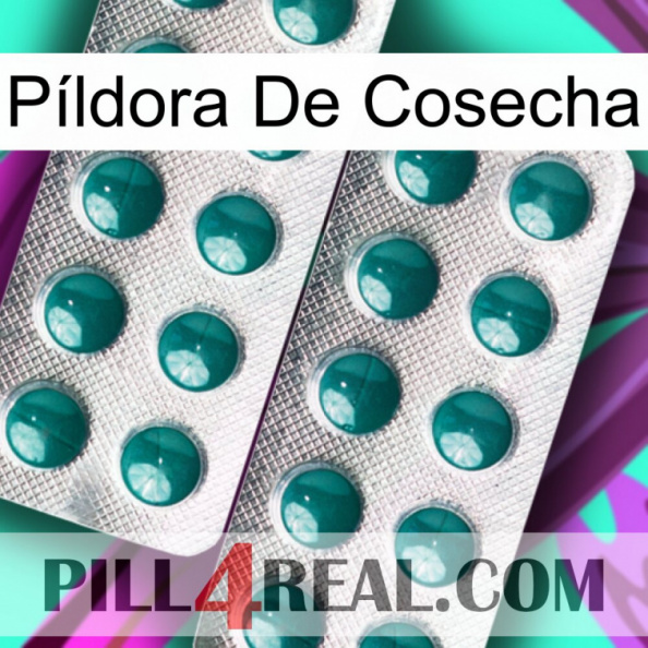 Píldora De Cosecha dapoxetine2.jpg